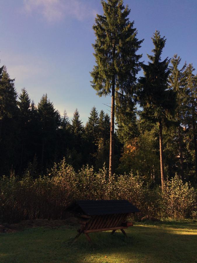 Ht Chalets Harrachov Εξωτερικό φωτογραφία