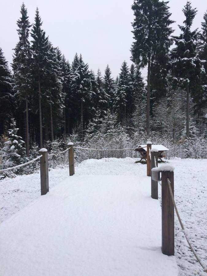 Ht Chalets Harrachov Εξωτερικό φωτογραφία
